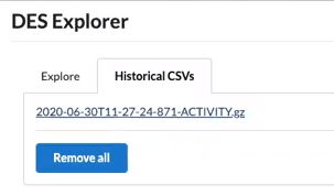 A report example on the Historical CSVs tab An activity report available on the Historical CSVs tab